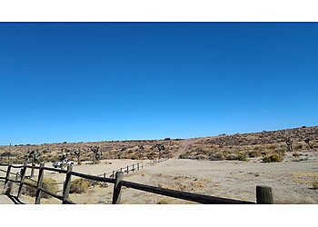 Palmdale Hiking Trails Tejon Park