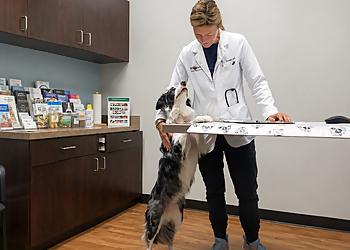 Telegraph Canyon Animal Medical Center - Chula Vista, CA Veterinary Clinics - Medical Procedure Image