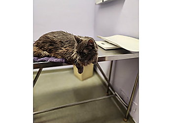 El Monte Veterinary Clinics Temple City Animal Hospital