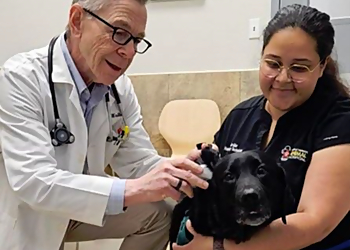 Tampa Veterinary Clinics Temple Terrace Animal Hospital