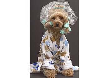 Aurora Pet Grooming Tenaker Pet Care Center, Inc.