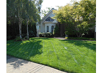 Eugene Lawn Care Services Tender Earth Yard Care