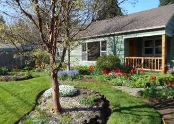 Tender Earth Yard Care Eugene Lawn Care Services