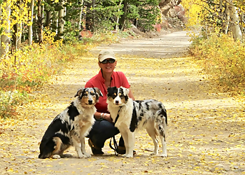 Boulder Dog Training Tenderfoot Natural Dog Training