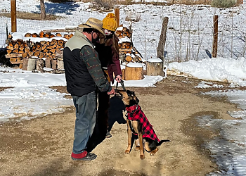 Boulder Dog Training Tenderfoot Natural Dog Training