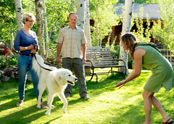 Boulder Dog Training Tenderfoot Natural Dog Training