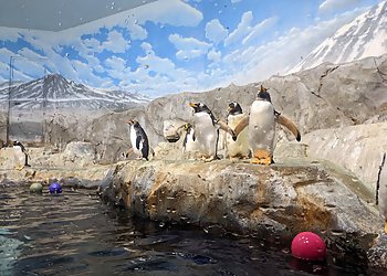 Chattanooga Places To See Tennessee Aquarium