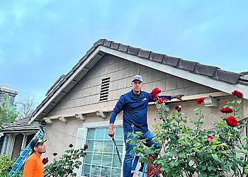 Fullerton Pest Control Companies Termike Pest Control Inc.