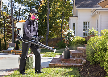 Downey Pest Control Companies Terminix
