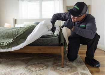 Eugene Pest Control Companies Terminix Eugene