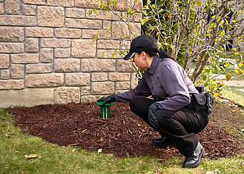 Terminix Bakersfield - Bakersfield, CA Pest Control Companies - Service Image