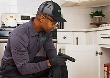 Beaumont Pest Control Companies Terminix Beaumont