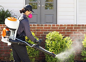 Evansville Pest Control Companies Terminix Evansville