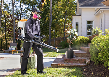 Terminix Irving - Irving, TX Pest Control Companies - Residential Service Image