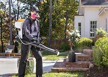 Irvine Pest Control Companies Terminix Laguna Hills