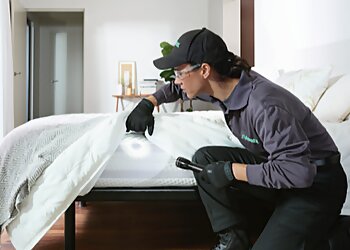 Peoria Pest Control Companies Terminix Peoria