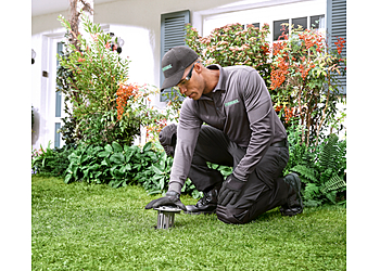 Terminix Santa Rosa - Santa Rosa, CA Pest Control Companies - Job Site Image