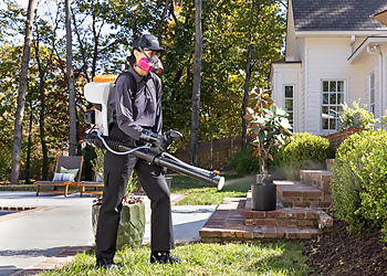 Terminix Tampa - Tampa, FL Pest Control Companies - Service Image