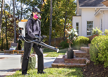 Amarillo Animal Removal Terminix Termite and Pest Control