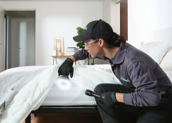 Westminster Pest Control Companies Terminix Westminster