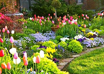 Plano Landscaping Companies Terra Turf Landscape