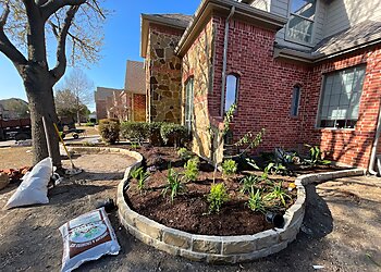 Plano Landscaping Companies Terra Turf Landscape