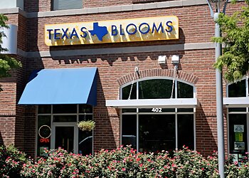 Austin Florists Texas Blooms and Gifts