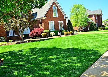 McAllen Lawn Care Services Texas RGV Landscape