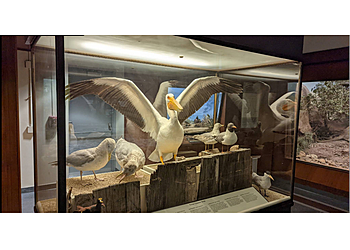 Austin Museums Texas Science & Natural History Museum