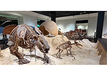 Austin Museums Texas Science & Natural History Museum