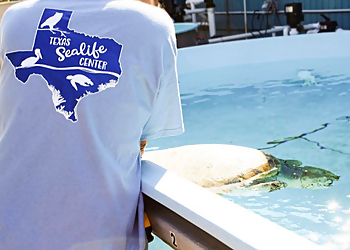 Corpus Christi Landmarks Texas Sealife Center