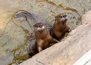 Corpus Christi Places To See Texas State Aquarium