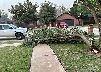 Lubbock Tree Services Texas green tree services lubbock