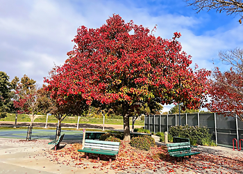 Santa Clara Public Parks Thamien Park