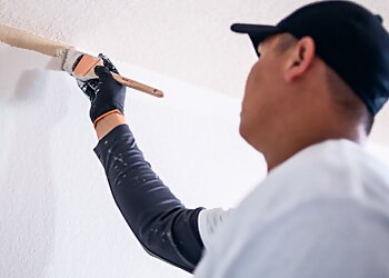 Austin Painters That 1 Painter Austin