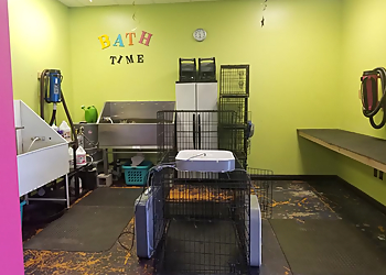 Glendale Pet Grooming That Crazy Dog Lady Pet Grooming