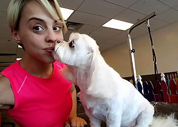 Glendale Pet Grooming That Crazy Dog Lady Pet Grooming