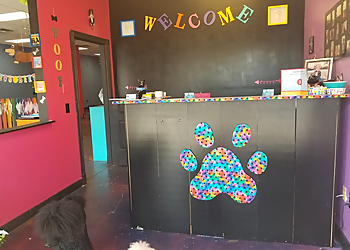 That Crazy Dog Lady Pet Grooming  Glendale Pet Grooming image 1