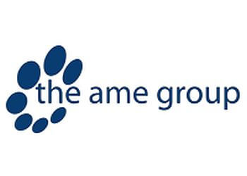 The AME Group