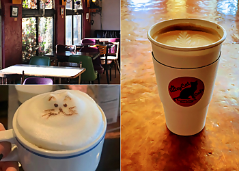 Fort Collins Cafe The Alleycat Cafe