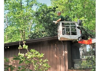 The Arbory Tree Service Augusta Tree Services