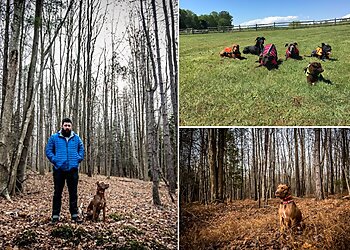 Buffalo Dog Training The Art of Dog