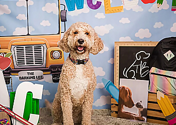 Providence Pet Grooming The Barking Lot