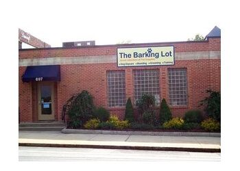 The Barking Lot Providence Pet Grooming
