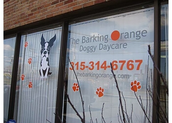 The Barking Orange Syracuse Pet Grooming