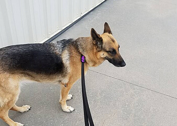 The Beloved Pet Nanny - Wichita, KS Dog Walkers - Service Image