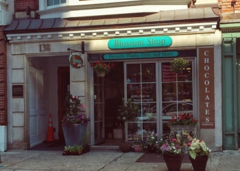 13+ Flower Shop New Haven
