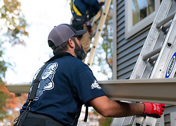 Detroit Gutter Cleaners The Brothers that just do Gutters
