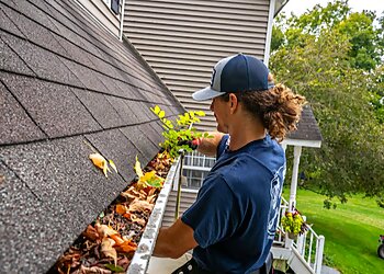 Detroit Gutter Cleaners The Brothers that just do Gutters