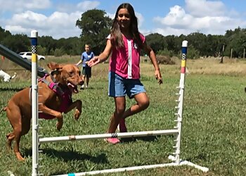 Austin Dog Training The Canine Center